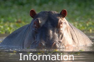 botswana information
