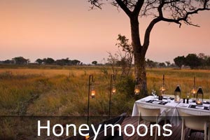 botswana honeymoons