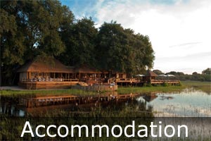 Botswana safari accommodation 