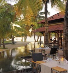 dinning