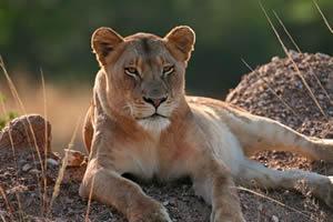 Cape Winelands Tours