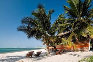 Sabi Sand Game Reserve